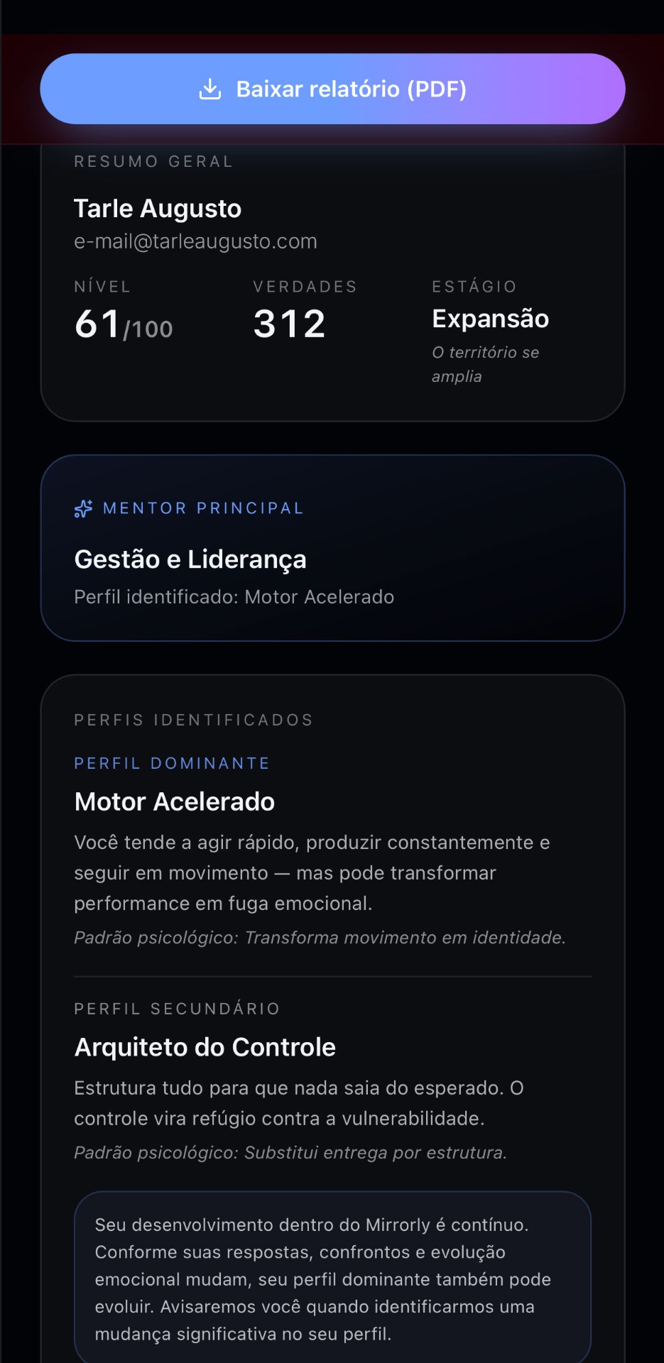 Tela Relatório do Mirrorly